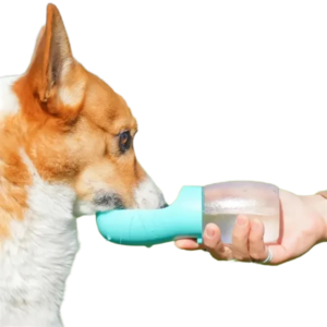 Portable Dog Water Bottle for Outdoor Adventures
